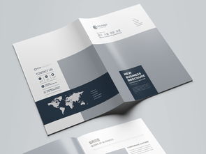 簡約大氣藍(lán)色科技公司軟件開發(fā)宣傳冊模板設(shè)計(jì)指南與素材獲取